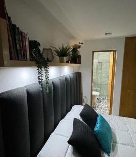 Del Carmen House | Vive Coyoacan CDMX