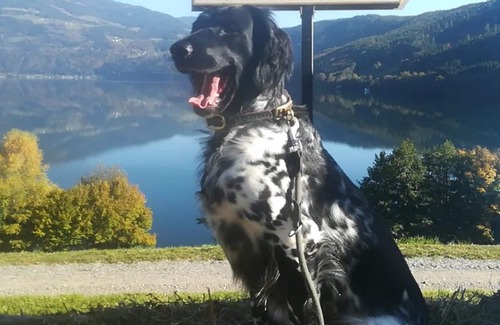 Spittal an der Drau Apartment | Vrbo Property
