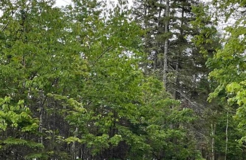 Chertsey Cabin | Vrbo Property