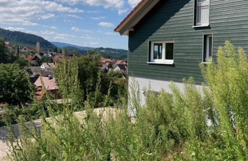 Loffenau Apartment | Vrbo Property