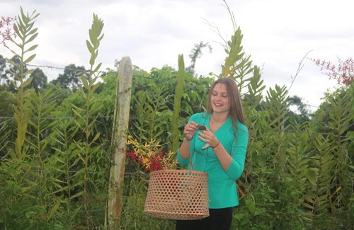 Go Dau Cabin | VulunVili Homestay