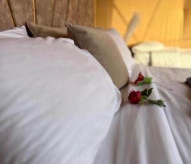 Wadi Rum Hotel | Wadi Rum, Hala bubbles
