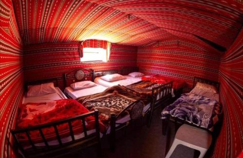 Wadi Rum Other | Wadi rum Local guide camp