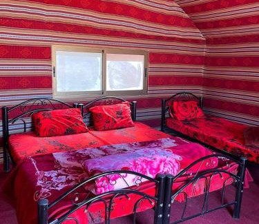 Wadi Rum Other | Wadi rum Local guide camp