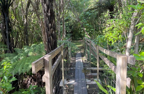 Waikawa Bay House | Waikawa Bay bach with spectacular harbour views and surrounded by native bush