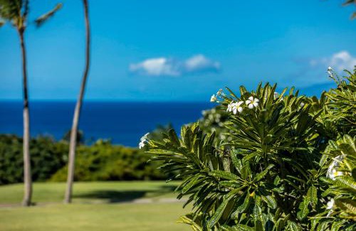 Wailea Apartment | Wailea Ekolu 1510 by Coldwell Banker Island Vacations