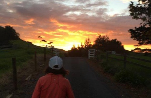 Mahinepua Bed & Breakfast | Waiwurrie Coastal Farm Lodge