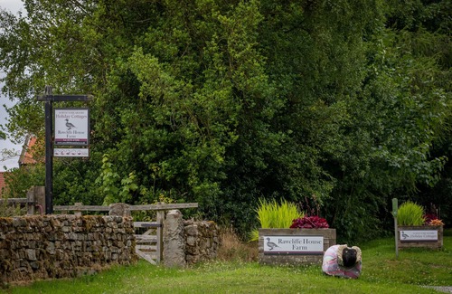 Pickering Cottage | Walcott Studio Room - a comfy room with hideaway kitchen