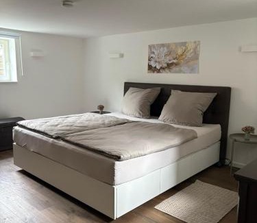 Ramersdorf Apartment | Waldblick am Rhein - Natur & Citynah -