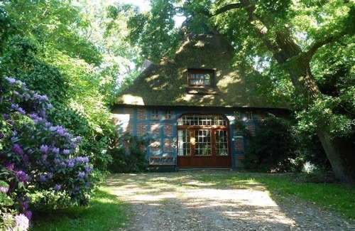 Viehland Apartment | Waldhaus - Ferienhäuser Ohlenbusch
