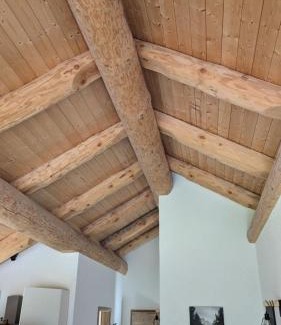Neuhutten Apartment | Waldzeit Lodge - Ferienwohnung Eule