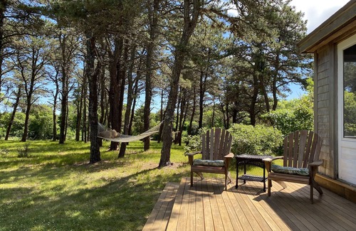 Edgartown House | WALK to Cape Pogue Bay, Blackbird Café & enjoy our private, spacious property.