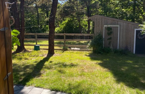 Edgartown House | WALK to Cape Pogue Bay, Blackbird Café & enjoy our private, spacious property.