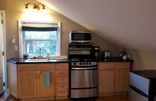 Black Mountain Apartment | Walk to Everything! Large studio with hot tub in Black Mountain