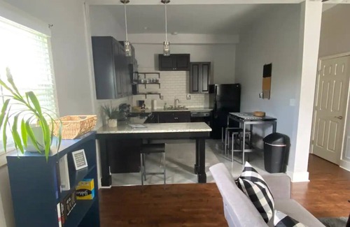 Germantown Apartment | Walk to NULU, Logan's Street Market and Germantown
