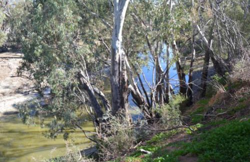Pooncarie House | Wallies Cottage On The Darling
