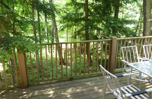 Petoskey Cottage | Walloon Lake Guest House Cottage ~ Beautiful And Secluded Getaway!