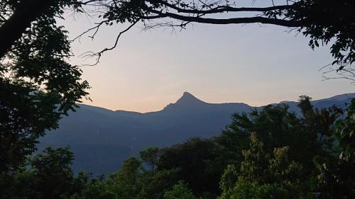 Illukkumbura Hotel | Walpolamulla Eco Lodge