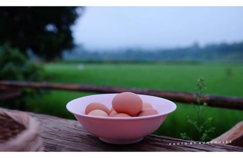 Chiang Dao House | Wanmai Farm Stay Muangkong วันใหม่ฟาร์มสเตย์ เมืองคอง เชียงดาว