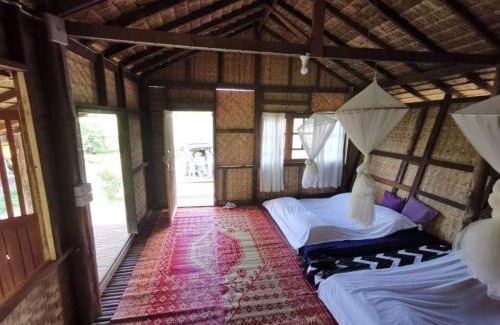 Chiang Dao House | Wanmai Farm Stay Muangkong วันใหม่ฟาร์มสเตย์ เมืองคอง เชียงดาว