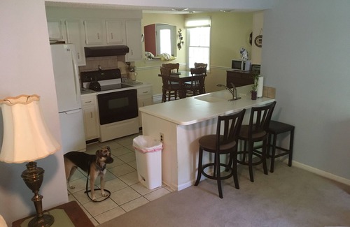 Charlotte House | Warm 3 BR Cozy Ranch in Friendly South Charlotte