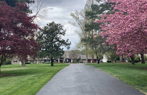 Elkton House | Waterfront: Panoramic Views/Pickleball coming soon/Hot Tub/Pool/Sleeps 16