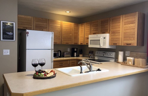 Dillon Condo | Waterfront Retreat on Lake Dillon. Lake/Mtn Views. Great Access to Skiing.