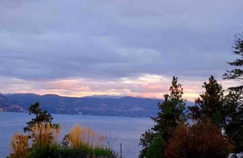 Central Okanagan Apartment | Waterfront Spacious One Bedroom Condo