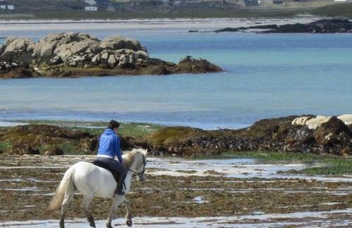 Cashel House | Waterside Cottage, Cashel