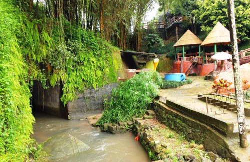 Kalpetta Bed & Breakfast | Wayanad Royal Stream