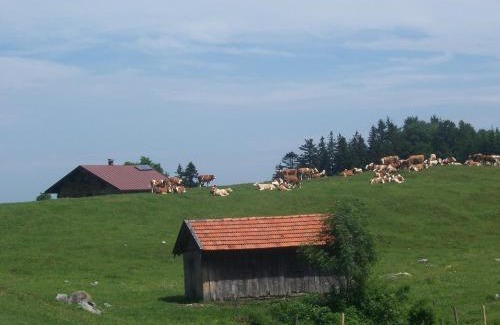 Samerberg Apartment | Weberhof