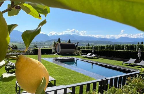 Berg/Monte Apartment | Weingut Gasshof