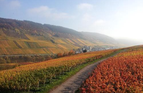 Reil House | Weingut-Brennerei-Gästehaus Emil Dauns