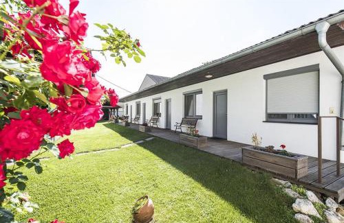 Apetlon House | Weingut & Gästehaus Markus Tschida
