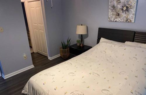 Midtown Apartment | Welcome International Guests-Medical Residents-free shuttle downtown-full kitchen- free parking