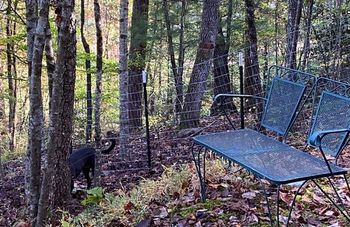 Blairsville Cabin | Welcome to Deer Ridge! Dog Friendly, 2 Bedroom and 2 Bath - sleeps 6.