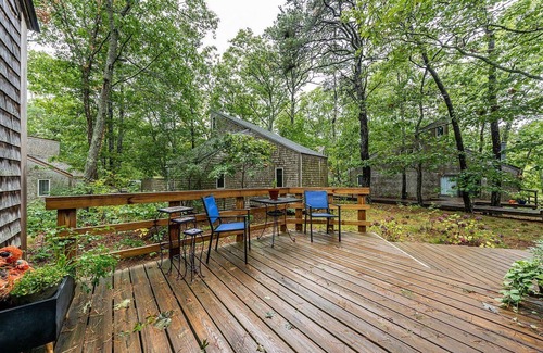 Wellfleet Cottage | Welcome to Wellfleet! Classically Modern, Woodsy and Serene.