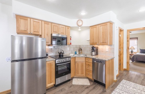 Ouray Condo | Welcoming Mountain Condo- Steps Away from Main Street- Pet Friendly!