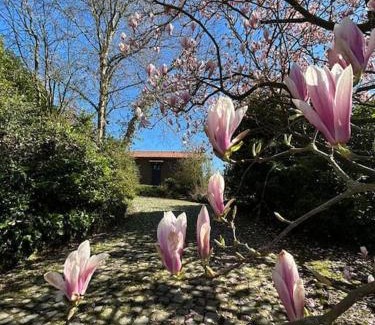 Flobecq House | Welkom in Vloesberg n°54