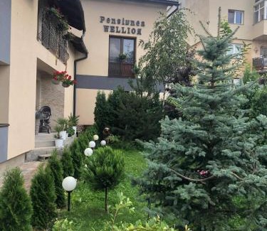 Covasna House | Wellion