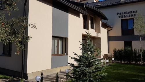 Covasna House | Wellion