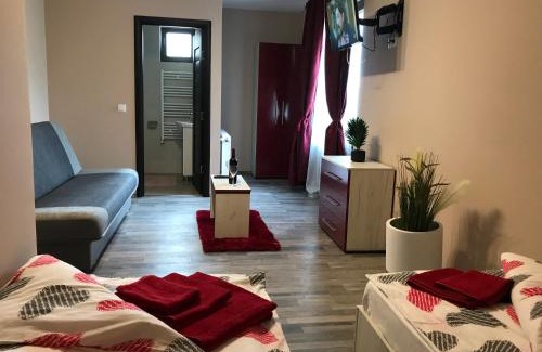 Covasna House | Wellion