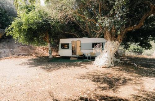 Sfinari Other | West nest caravan