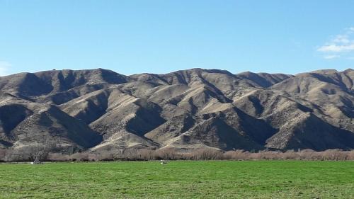 Kurow Bed & Breakfast | Western House B&B Kurow
