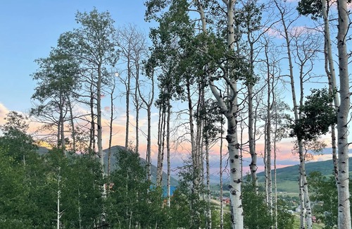 Crested Butte South House | Whetstone Mountain View