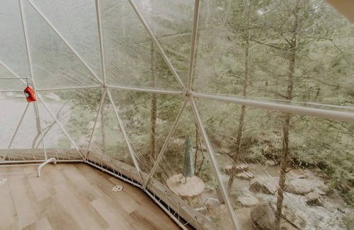 Cosby Apartment | Whispering Waters: Dome Getaway
