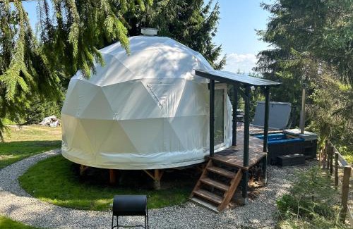 Siculeni Other | White Fox Dome
