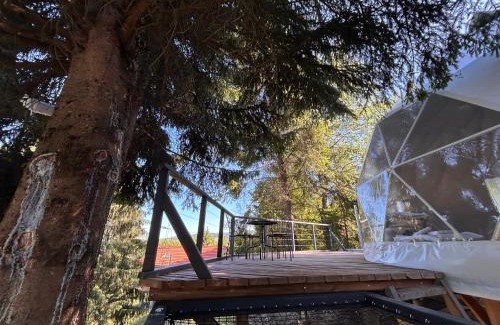 Siculeni Other | White Fox Dome