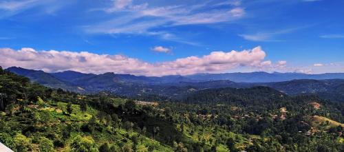 Haputale Bed & Breakfast | White House