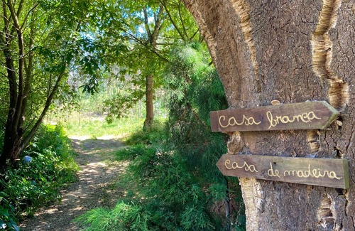 Albergaria-a-Velha Cottage | White House - Vale da Silva Villas
